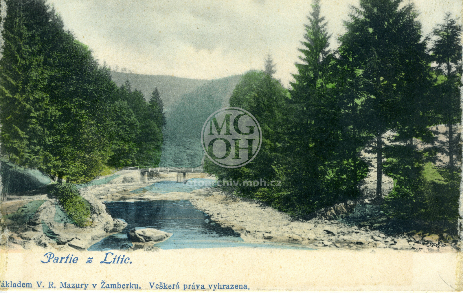 Fotografie - Partie z Litic