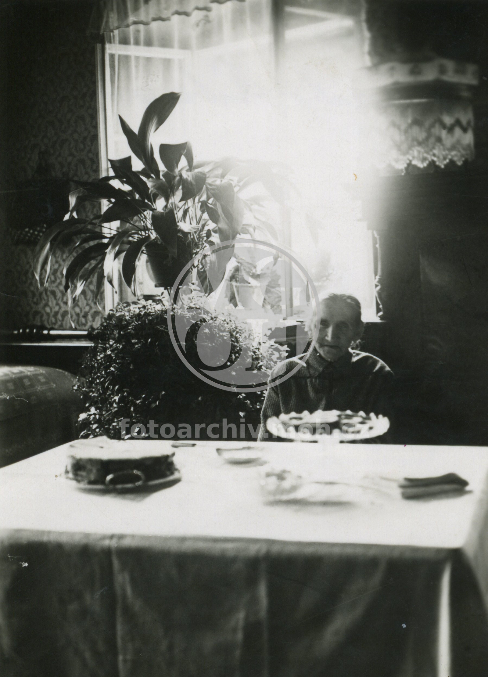 Fotografie - Osoba: Kubiasová Ros.