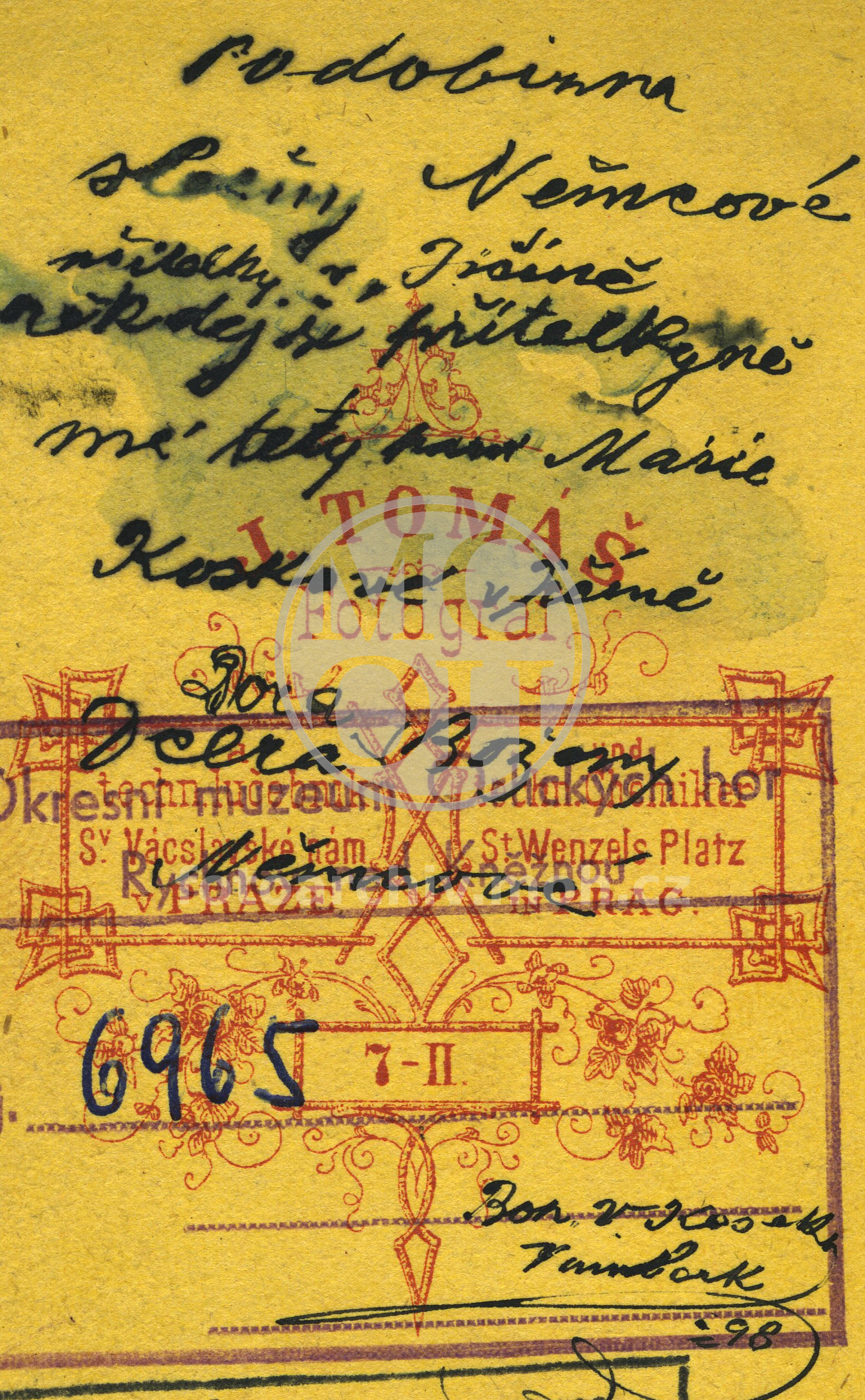 Fotografie - Portrét slečny Dory Němcové, dcery Boženy Němcové 
Osoba: Theodora Wilhelma Rozálie Němcová [učitelka, 19.6.1841 Polná - 6.2.1920 Praha]