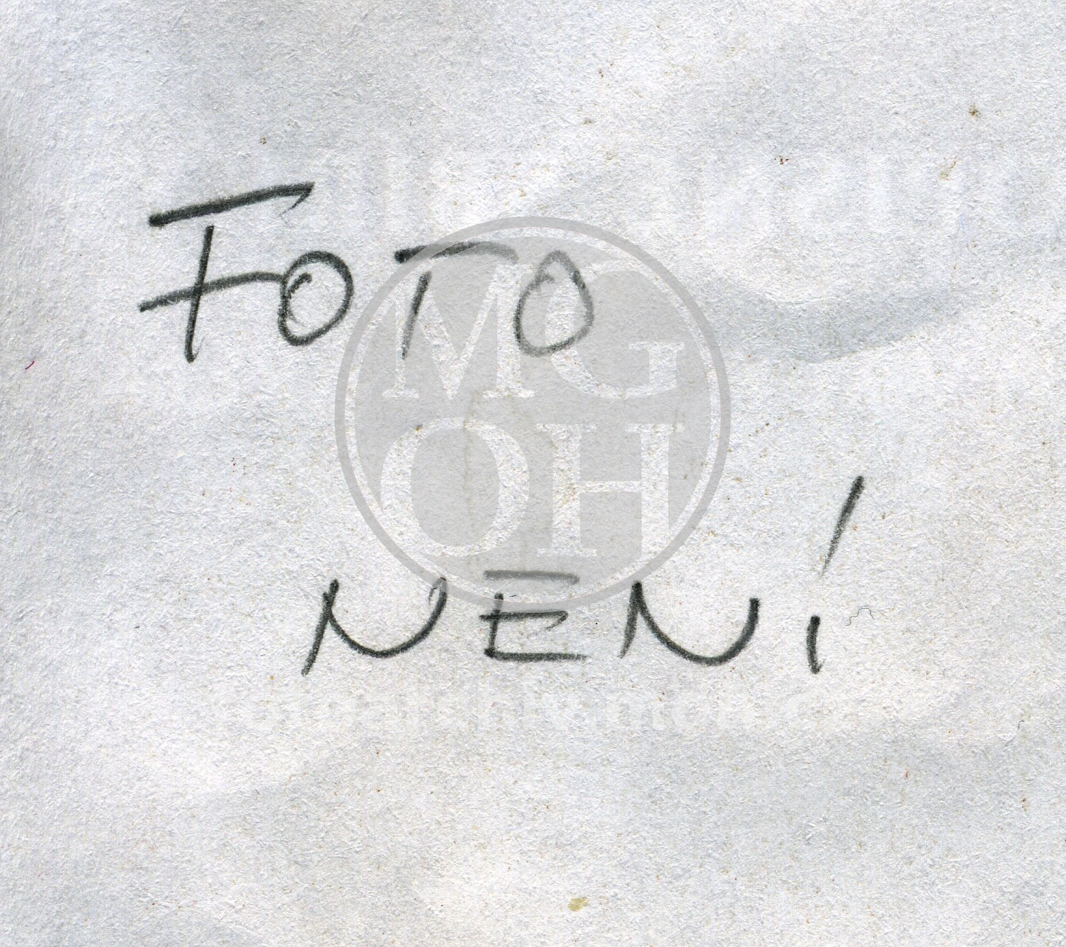 Fotografie - Výstava E. Holeczyové