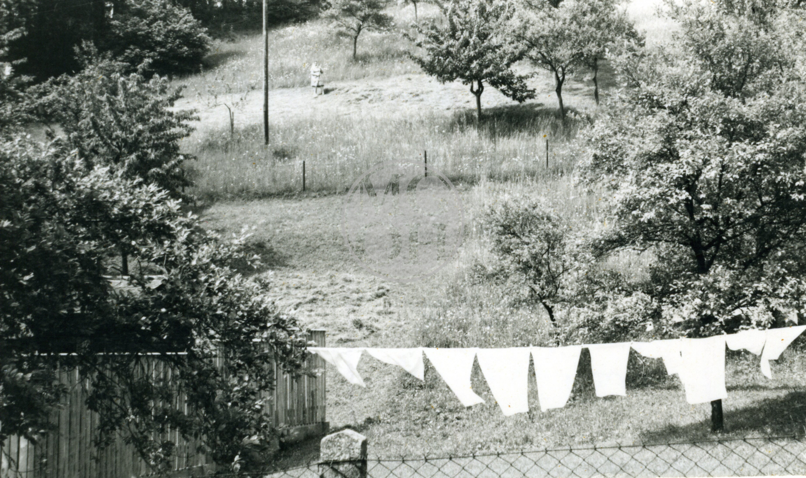 Fotografie - Stráň