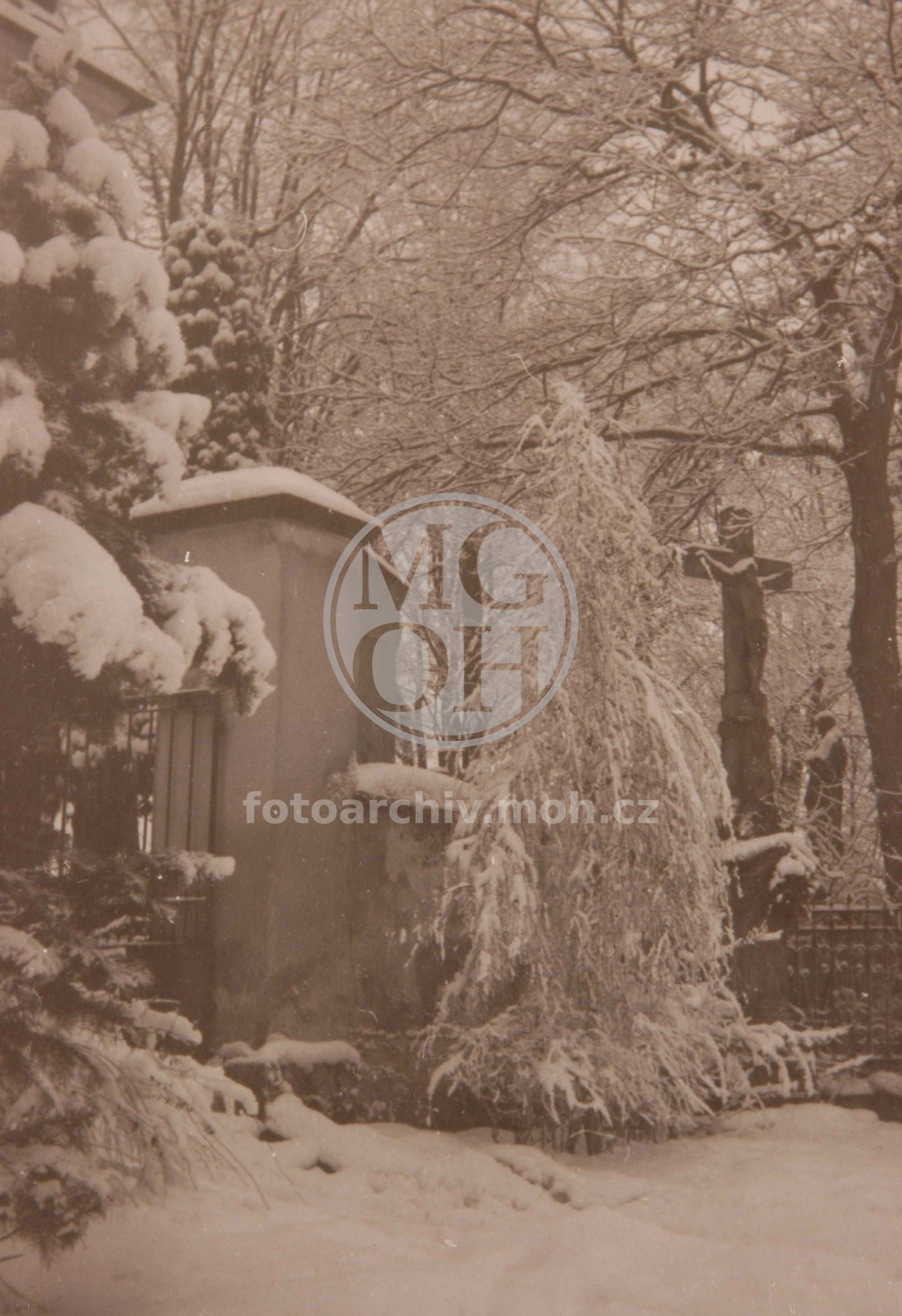 Fotografie - Zasněžený vchod