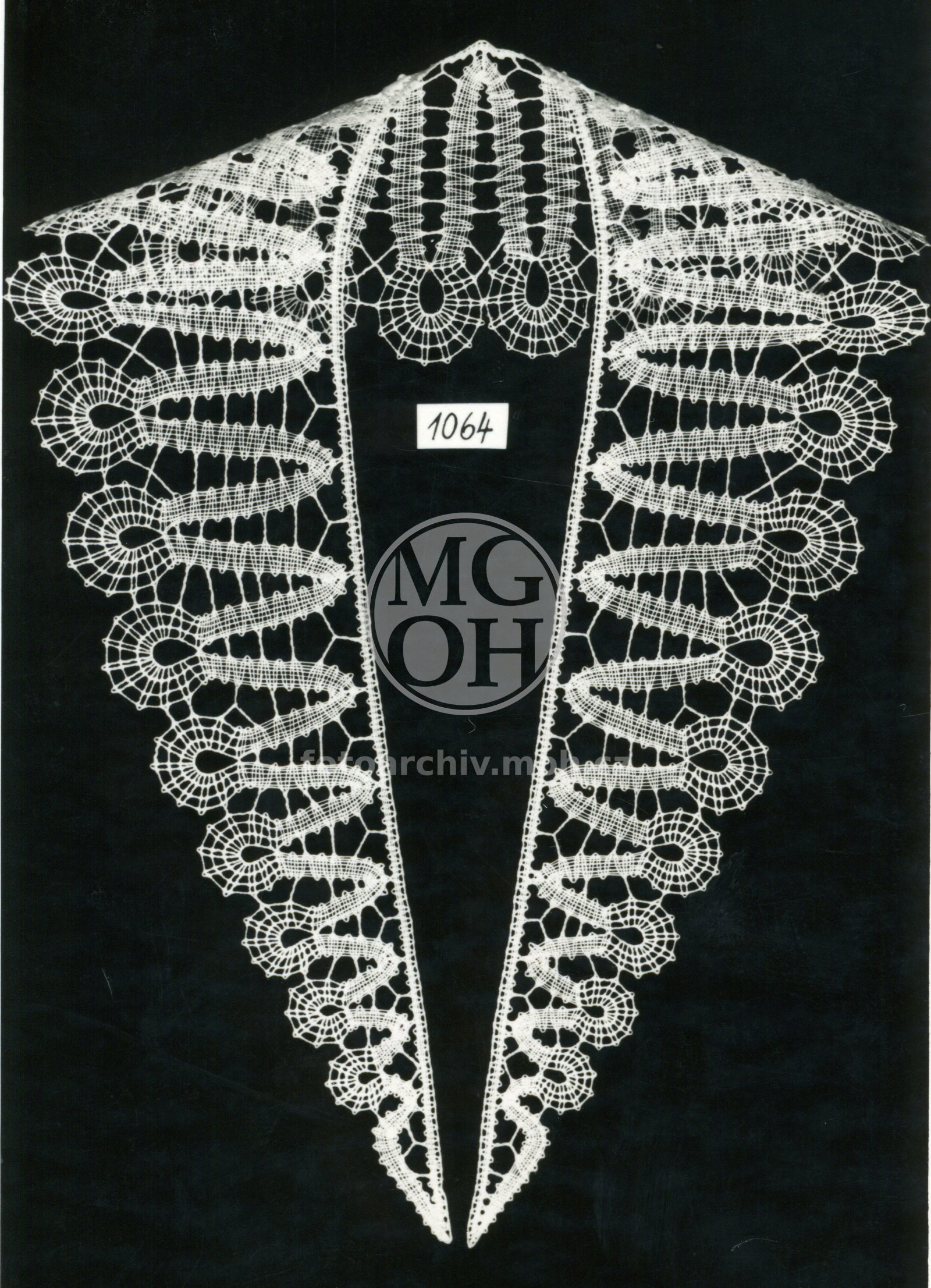 Fotografie - Límeček (A. Kuncová, VKV)