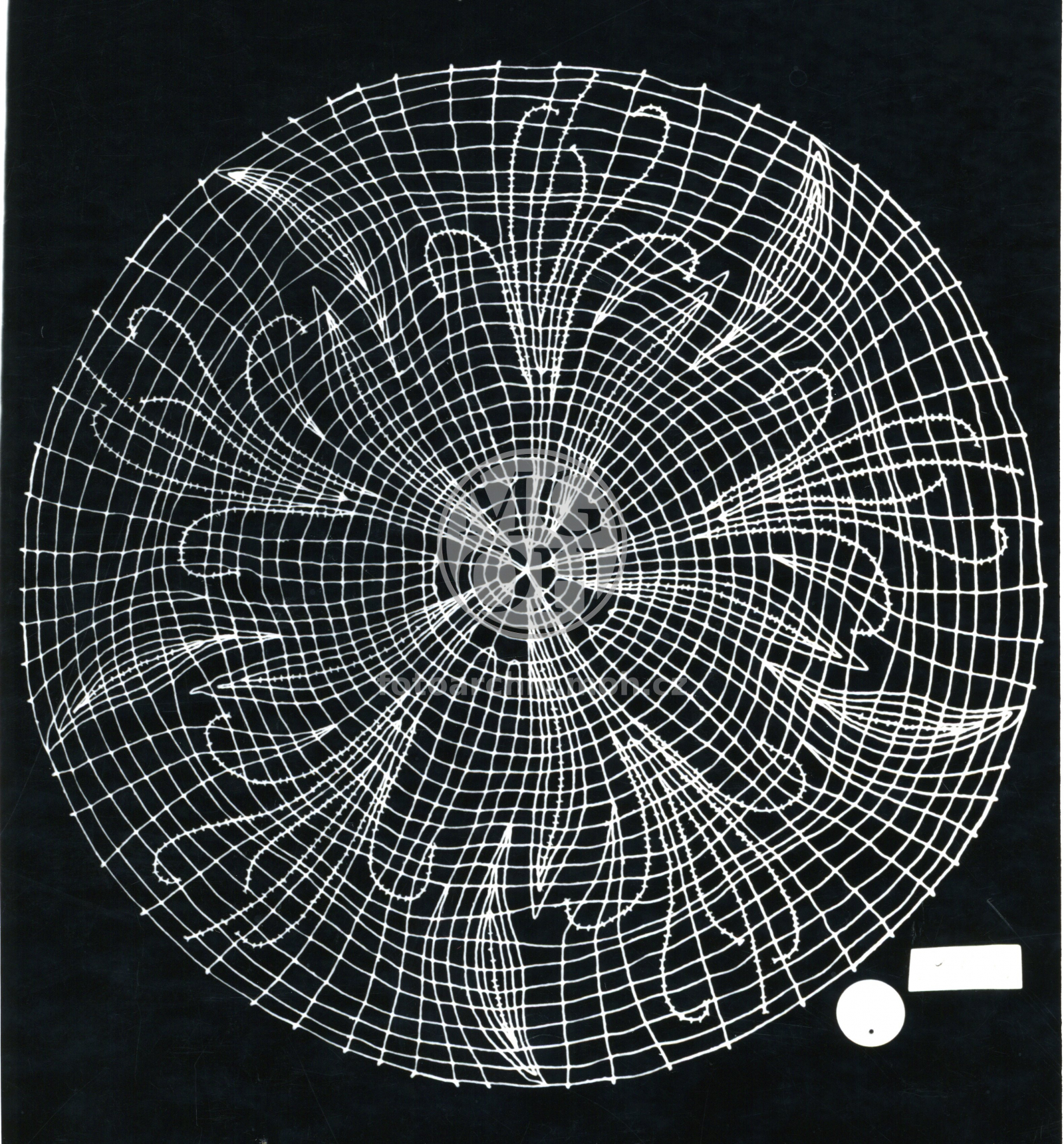 Fotografie - Dečka ( A. Kuncová, VKV)