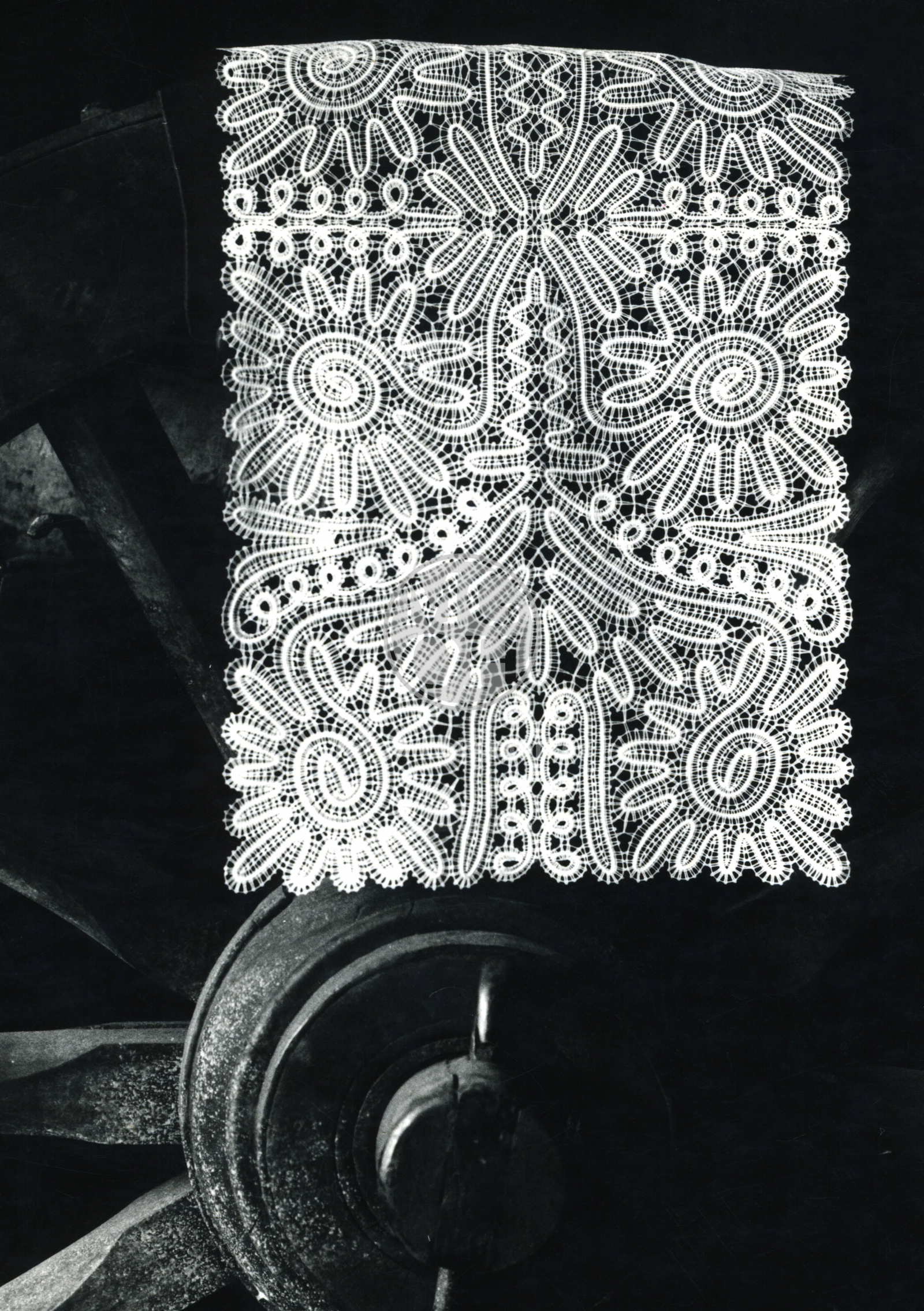 Fotografie - Závěs. krajka (A. Kuncová, VKV)