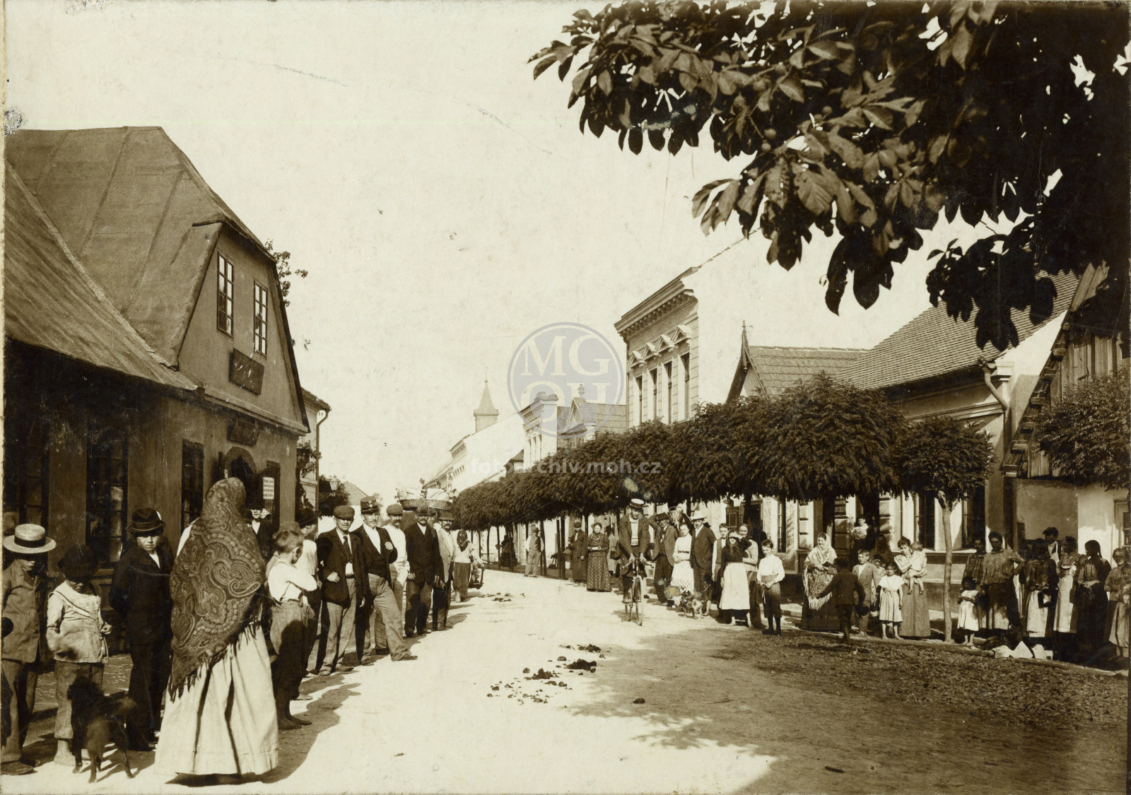 Fotografie - Častolovská ul.