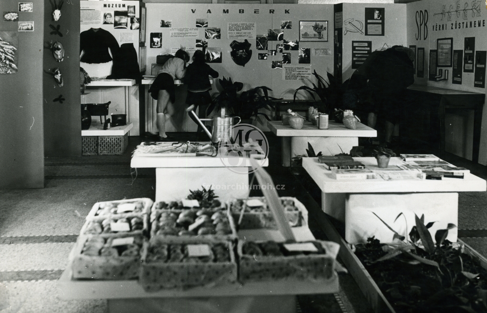 Fotografie - Výstava