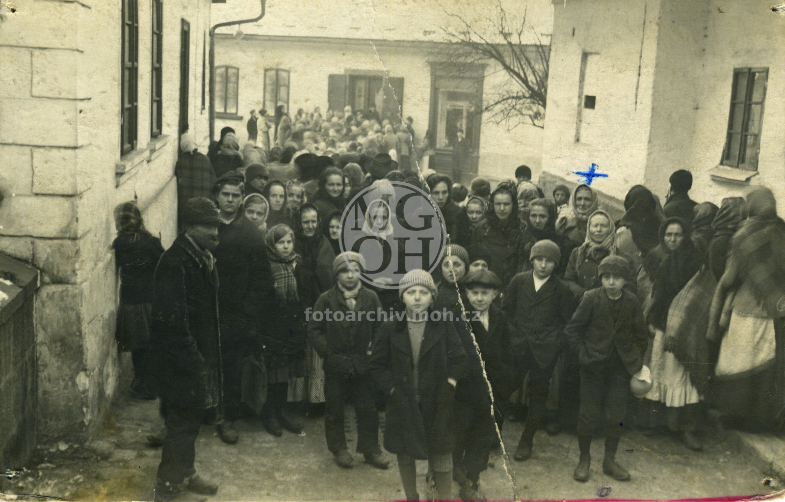 Fotografie - Fronta na maso